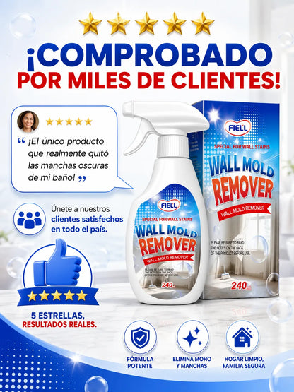 Wall Mold Remover Spray (240ml)